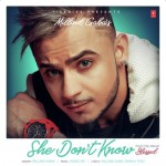 She Dont Know  - Millind Gaba