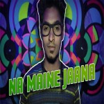 Na Maine Jaana  - Emiway Bantai