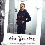 Are You Okay - Harpinder Gill