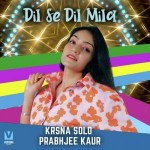 Dil Se Dil Mila - Krsna Solo