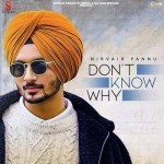 Dont Know Why - Nirvair Pannu