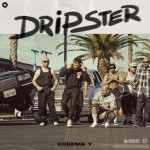 Dripster