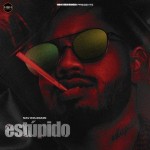 Estupido - Nav Dolorain