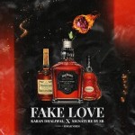 Fake Love - Karan Dhaliwal