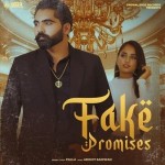 Fake Promises - Palla