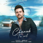 Chenab Te Mil - Javed Ali