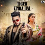 Tiger Zinda Hai - The King