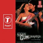Hamein Tumse Hai Pyar (Instrum