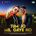 Tum Jo Mil Gaye Ho - Mika Singh