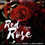 Red Rose - Ranjha