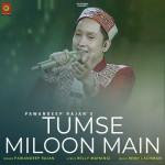 Tumse Miloon Main - Relly Mahangi