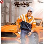 Mustang - Amar Sandhu