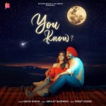 You Know - David Singh