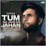 Tum Na Jane Kis Jahan Men Kho Gaye - Sanam