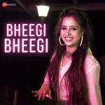 Bheegi Bheegi - Janashin  Khan