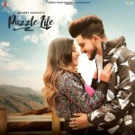 Puzzle Life - Sharry Hassan