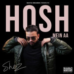 HOSH ME AA - Shez