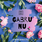 Gabru Nu - DJ Harv