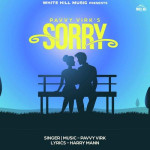 Sorry - Pavvy Virk