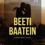 Beeti Baatein - Sonu Nigam