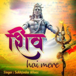 Shiv Hai Mere