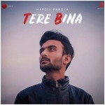 Tere Bina  - Hardik Pandya