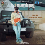 1 Number - Surinder Baba