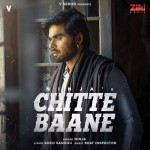 Chitte Baane - Ninja