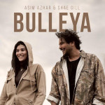 Bulleya - Asim Azhar