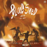 BLOOD SHED - RCR