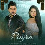 Pinjra - Yasser Desai