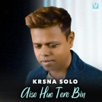 Aise Hue Tere Bin - Krsna Solo