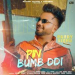 Pin Bumb Ddi - Parry Sidhu