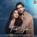 Tere Bin - Yasser Desai mp3 songs