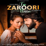 Tu Zaroori Hai - Amaan Ali