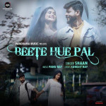 Beete Hue Pal - Shaan