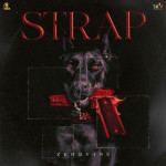 STRAP - Zehr Vibe