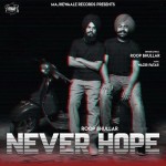 Never Hope - Roop Bhullar