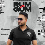 Rum Te Gum - Nick Sandhu
