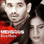 Mehsoos Kiya Hain - Souvik Kab