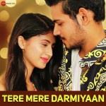 Tere Mere Darmiyaan - Yasser Desai