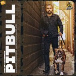 Pitbull - Baaz Dhatt