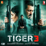 Tiger x Pathaan Theme