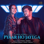 Pyaar Ho Jayega - Vishal Mishra