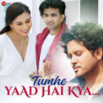 Tumhe Yaad Hai Kya - Javed Ali mp3 songs