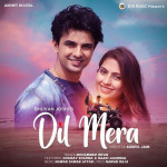 Dil Mera - Mohammed Irfan