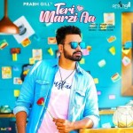 Teri Marzi Aa  - Prabh Gill