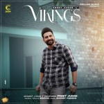 Vikings - Preet Judge