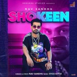 Shokeen - Nav Sandhu