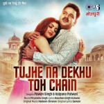 Tujhe Na Dekhu Toh Chain - Pawan Singh